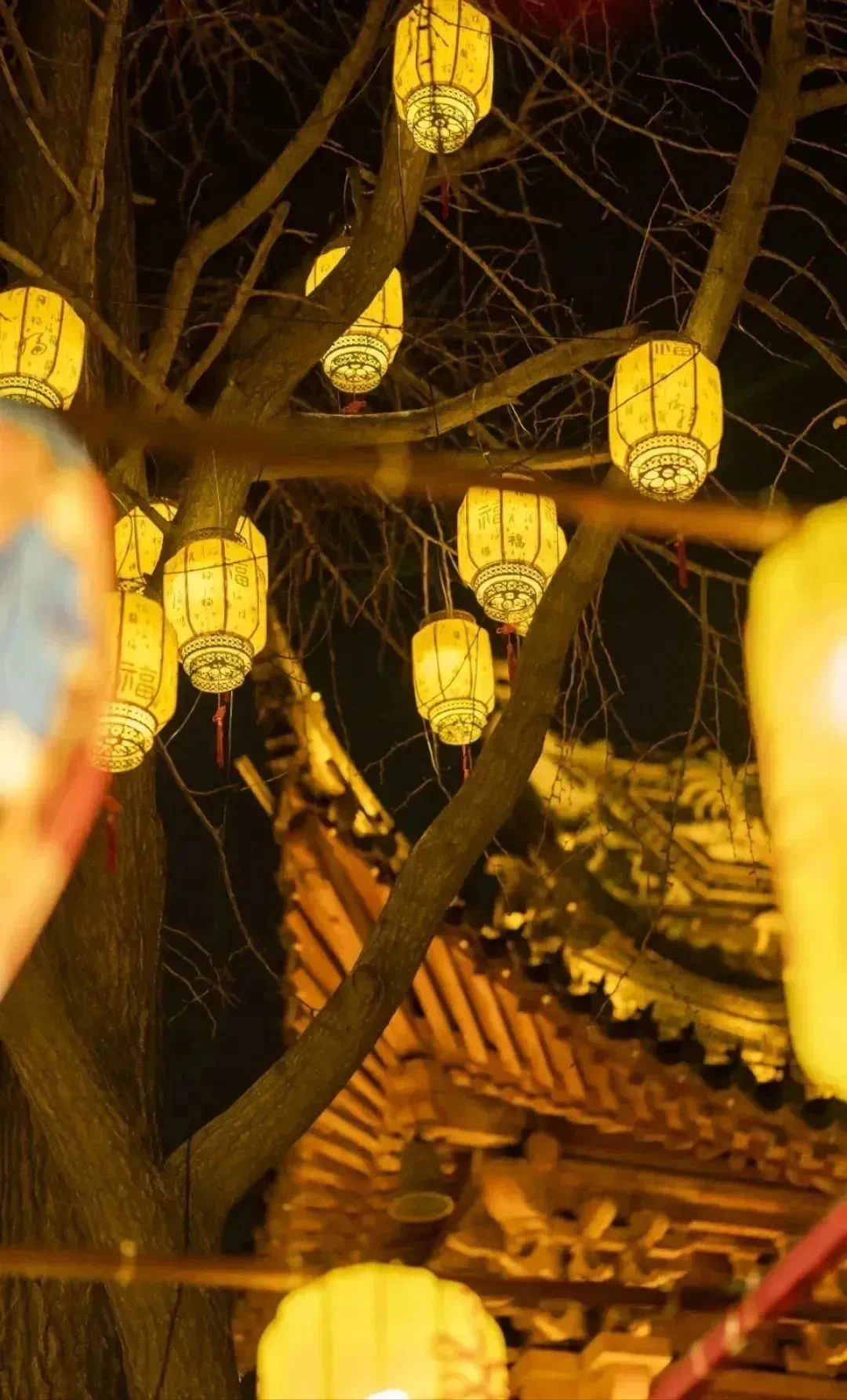 微信图片_20240304222530.jpg