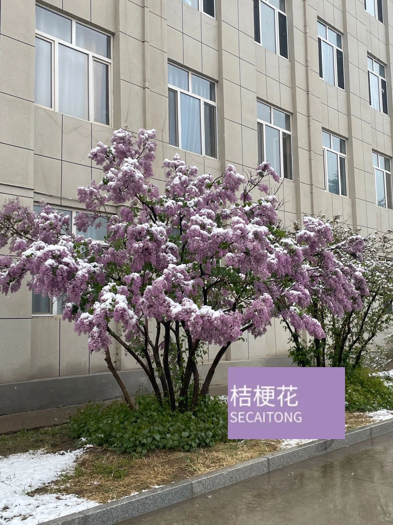 微信图片_20240514101514.jpg
