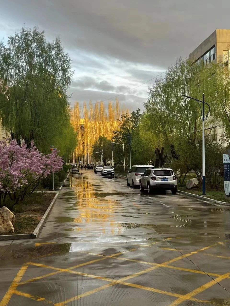微信图片_20240503001734.jpg