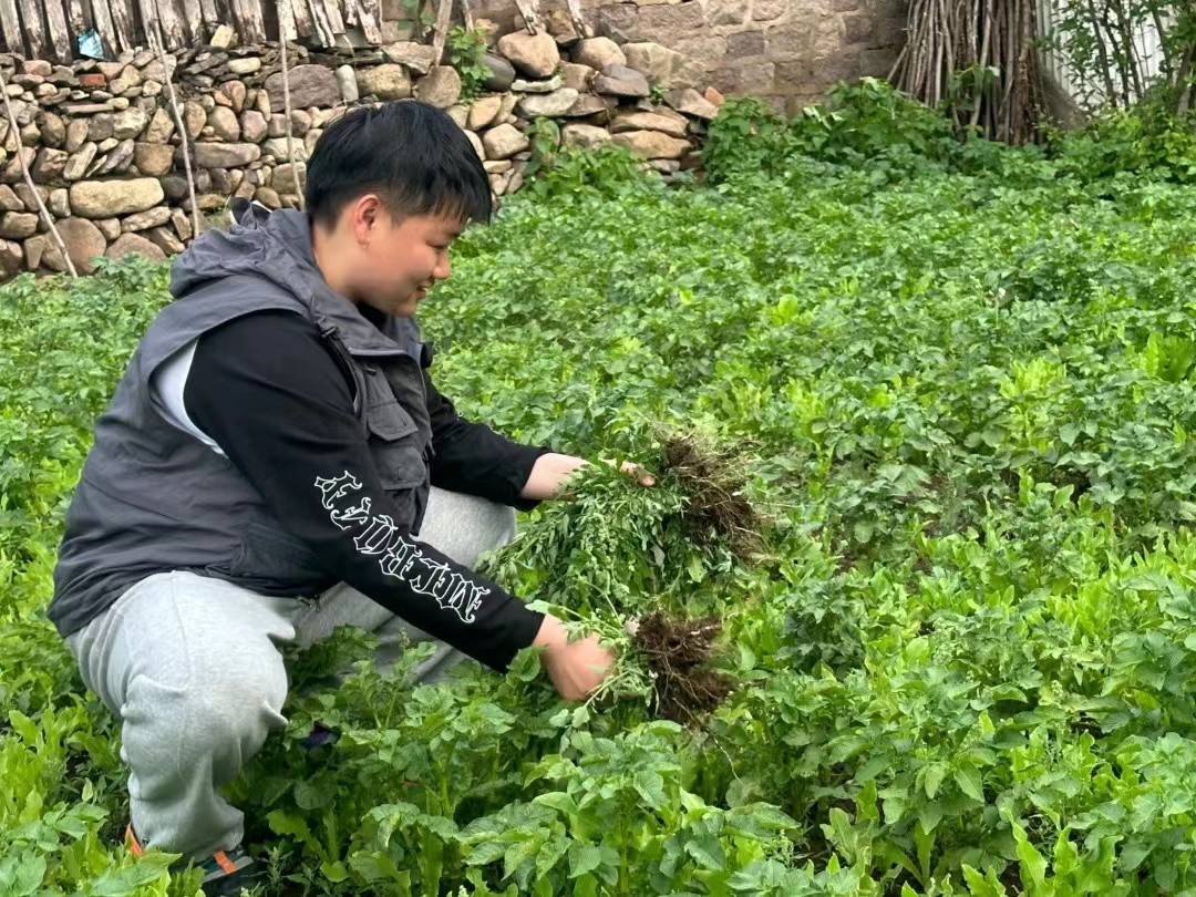 微信图片_20240529111027.jpg