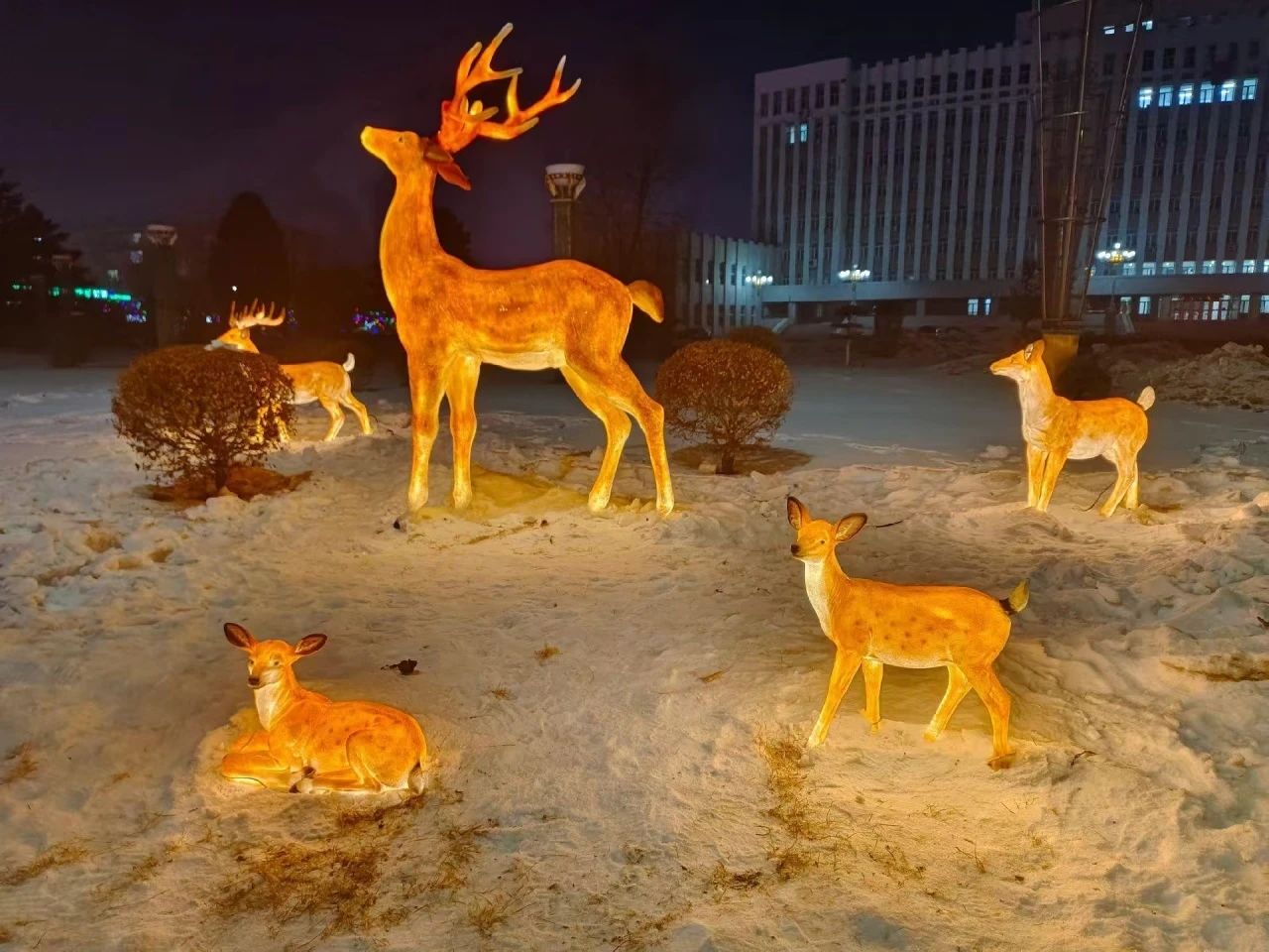 微信图片_20250310110729.jpg