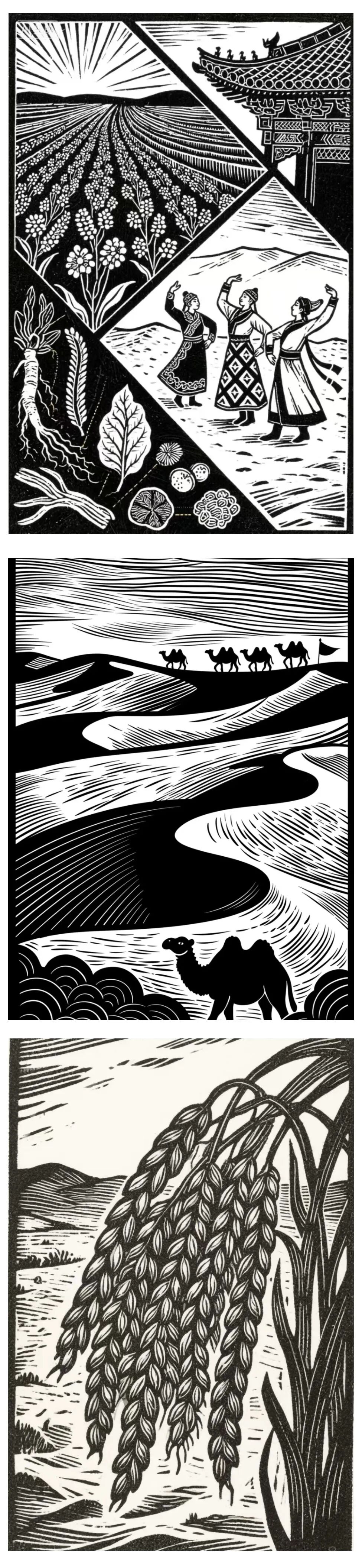 640 (9).jpg