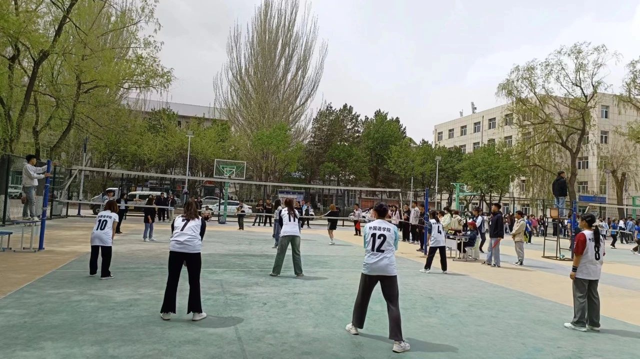 ba005b6232964255b61f0637daafed27.jpg