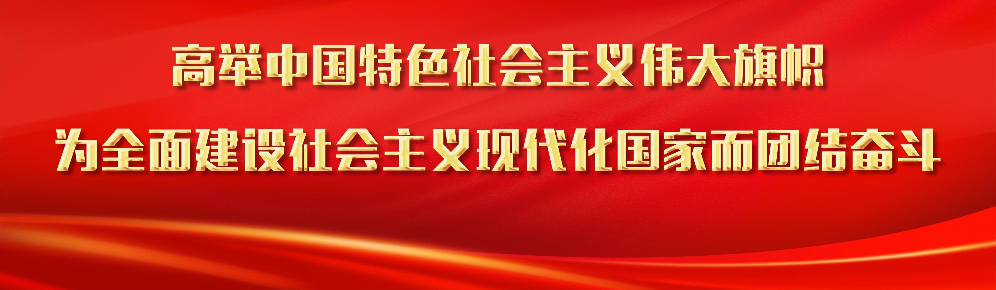 高举中国特色社会主义伟大旗帜 为全面建设社会主义现代化国家而团结奋斗