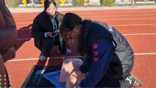 45dd8a43d5bb4ca483e839667e02608c.png 45dd8a43d5bb4ca483e839667e02608c.png