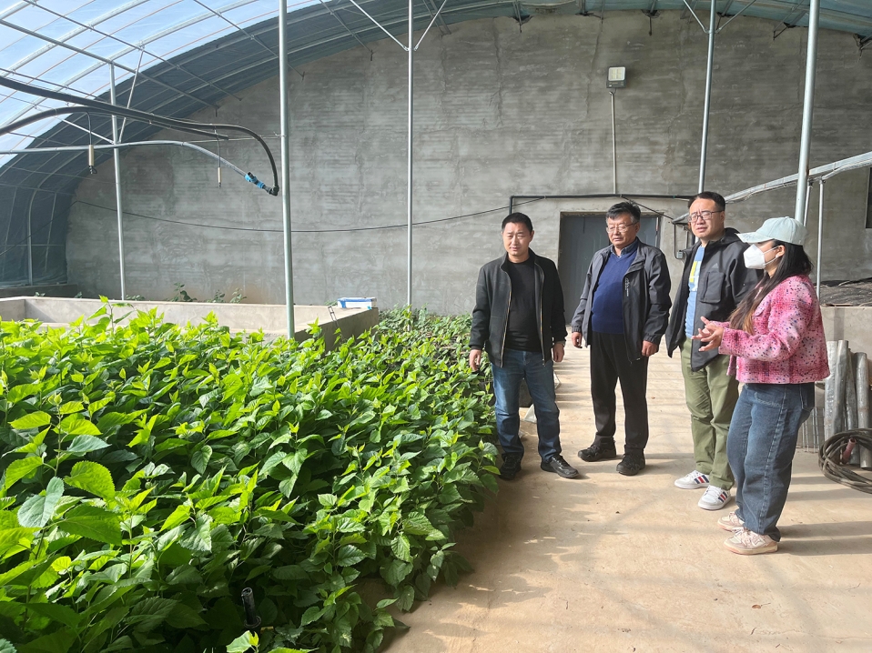 07dcdaa24b054607b11c7b266168c06a.jpg 用图.jpg