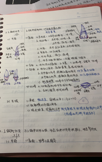0b40080a6fd84875abd5b2b16aabcb71.png