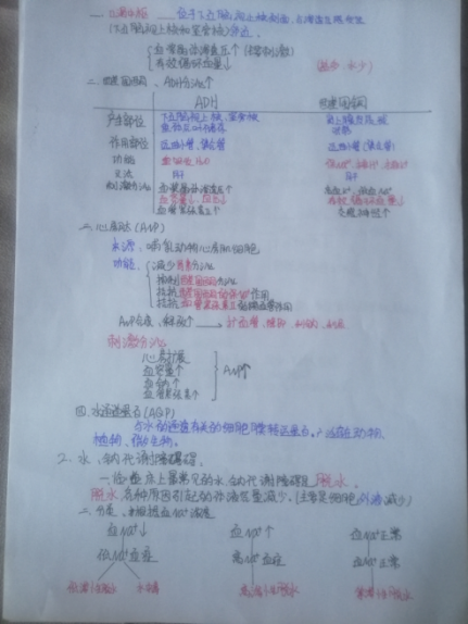 82258cb67204482c833dc819224bd3af.png