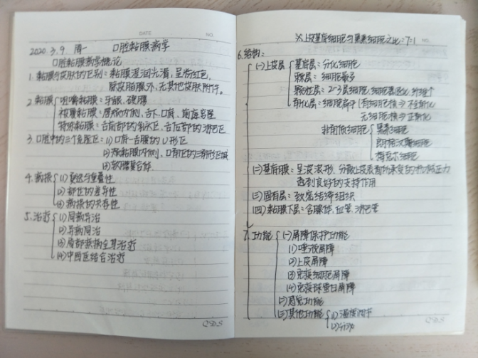 cb39e7726b164e07b69dbbb7e1ebb462.png