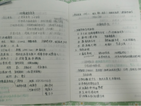 d91ea084cb4f409c89f6a808a3f3546e.png