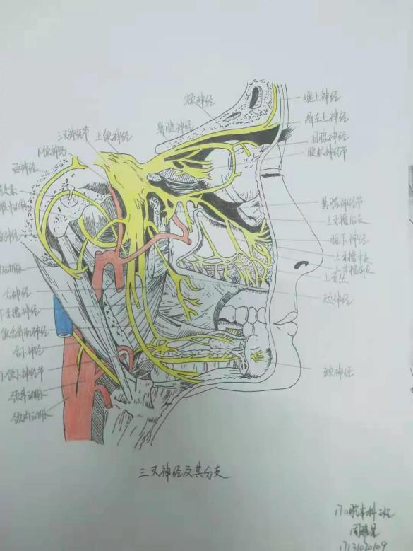 aadd16eab2c24fb99e5db1ea4f6bc3de.png