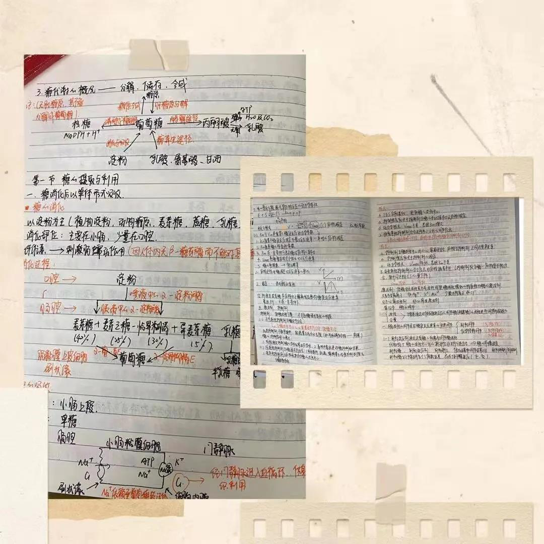 d732c9d812934878a328d9d64ca87a4b.png