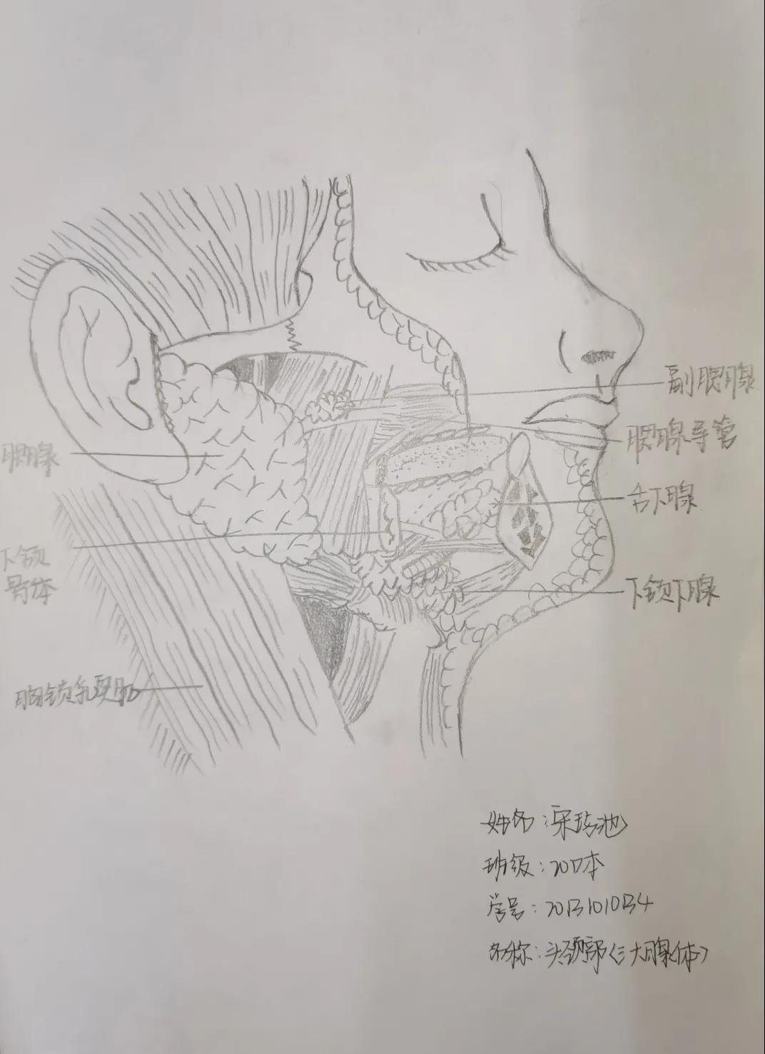 5b8bf21c00aa4f09aafb5bc225bb661c.jpg