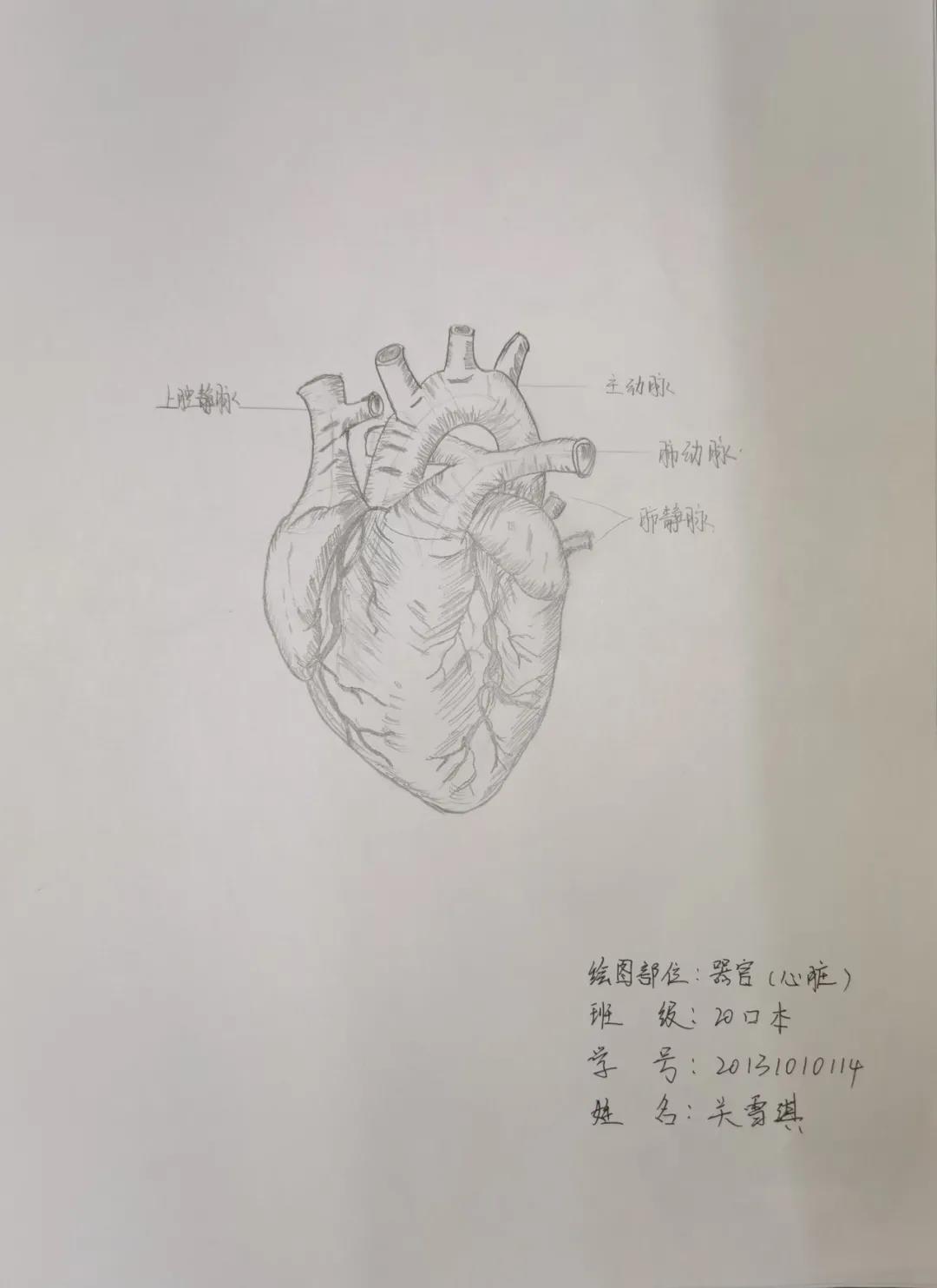 9e77e8b997614f55a6c98ef9de54e226.jpg